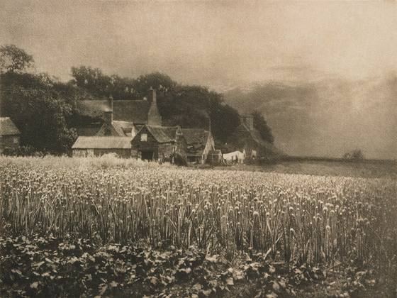 George Davison, The Onion Field, 1890